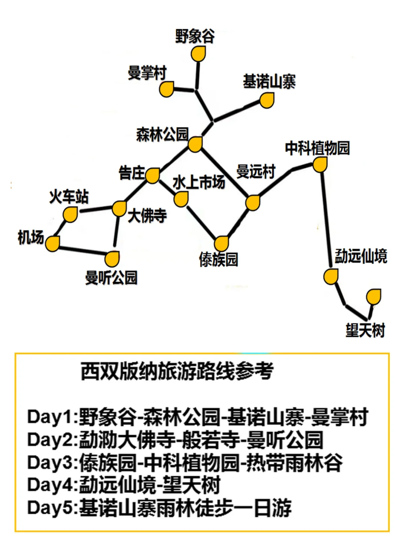 西双版纳包车体验升级：不一样的旅行新选择