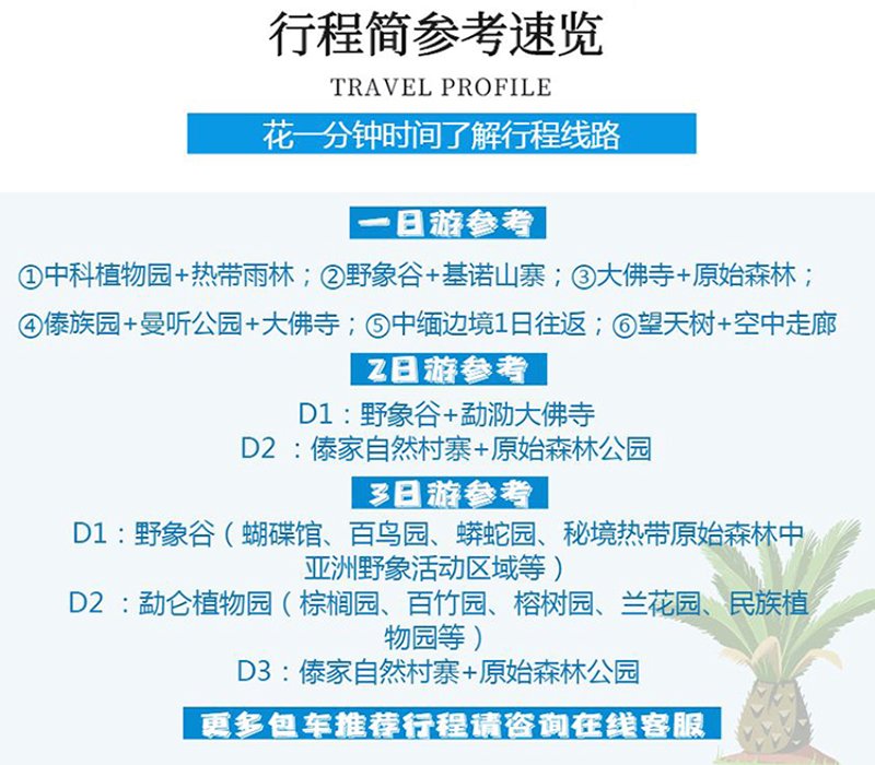 西双版纳旅游包车新风貌：从古至今的旅行新篇章