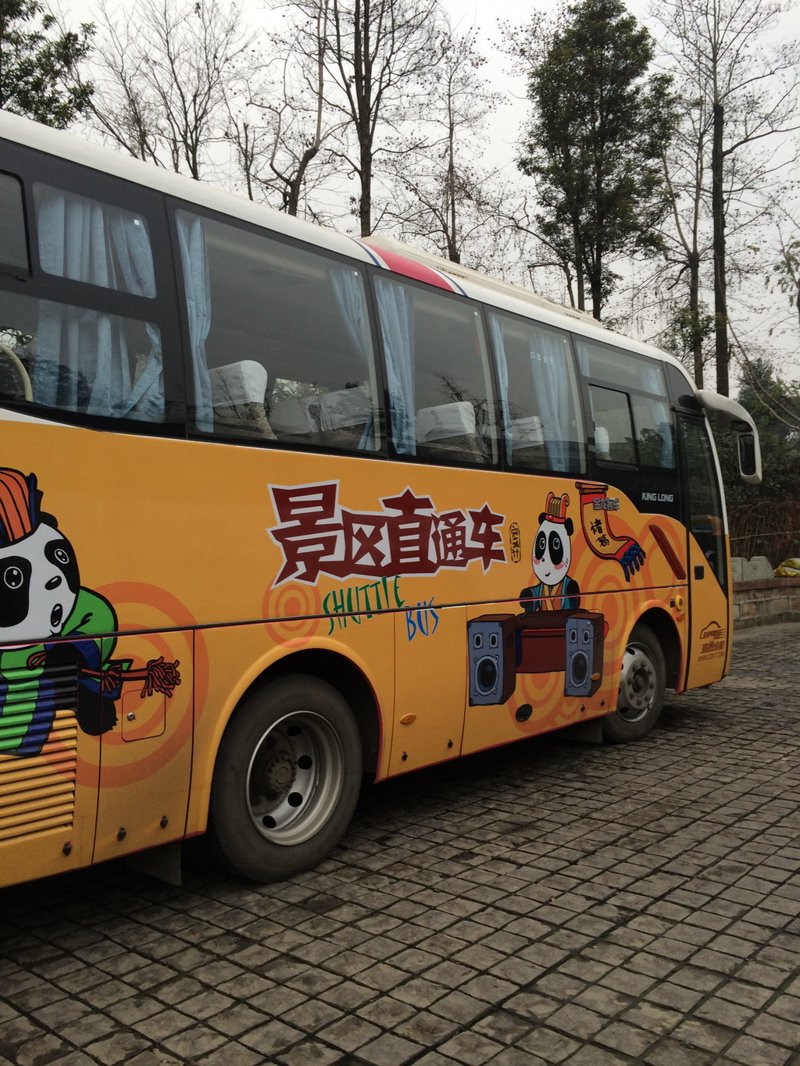 探秘西双版纳：选择旅游包车的无限可能