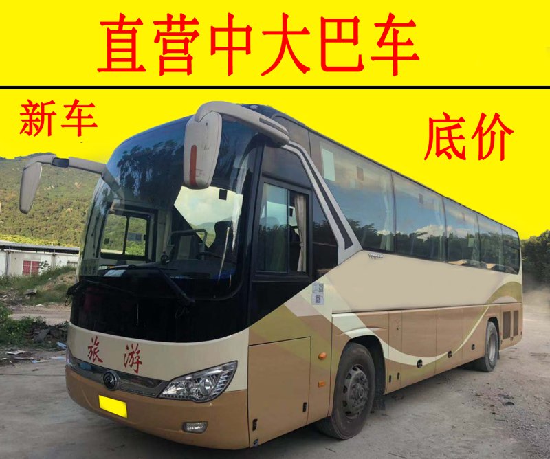 西双版纳包车体验升级：不一样的旅行新选择